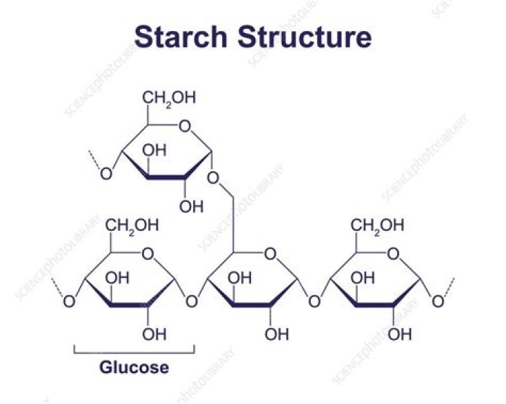 Does starch have cellulose