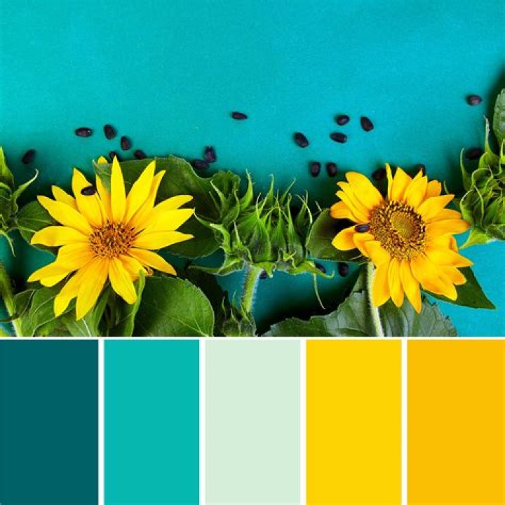Does teal and yellow match