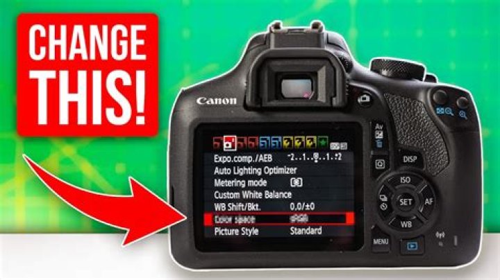 Does the Canon t1i have a mic input?