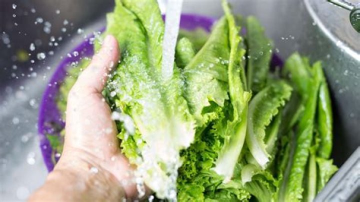 Does Washing Lettuce Get Rid of E coli