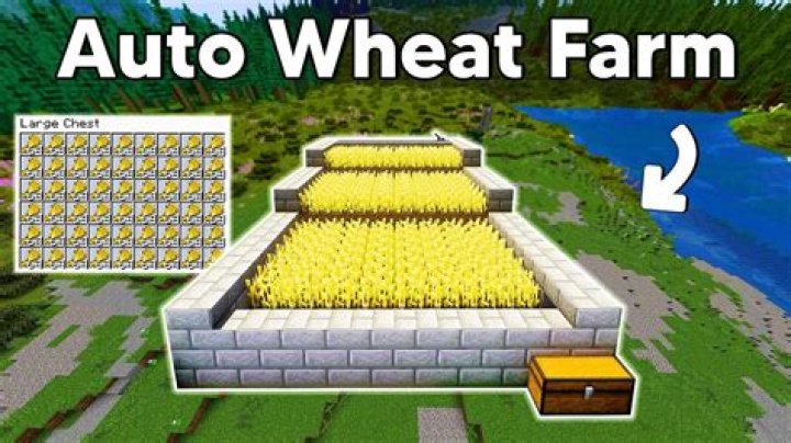 Does wheat grow faster in sunlight Minecraft