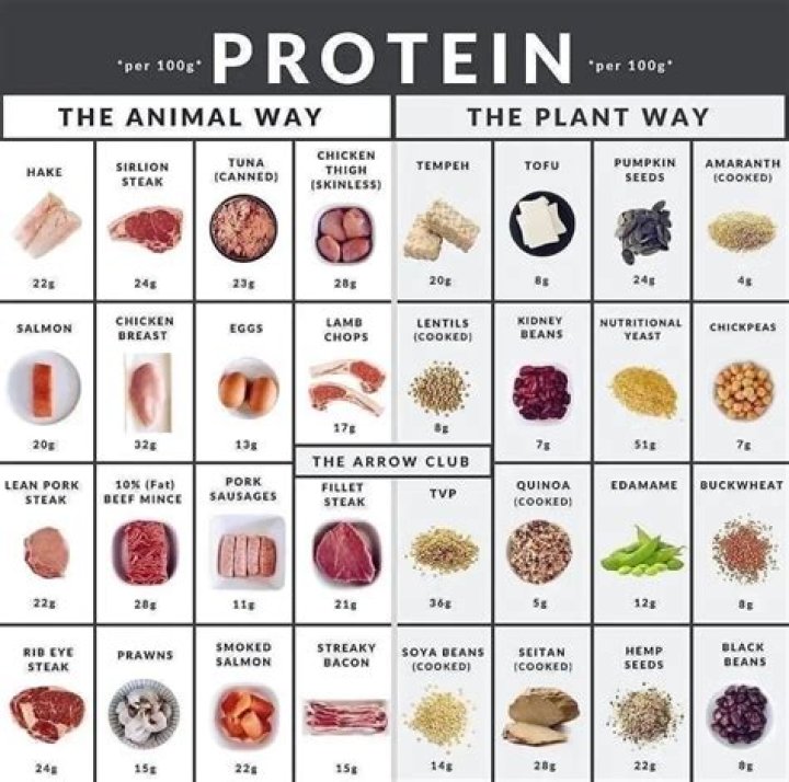 Does whey protein contain animal products