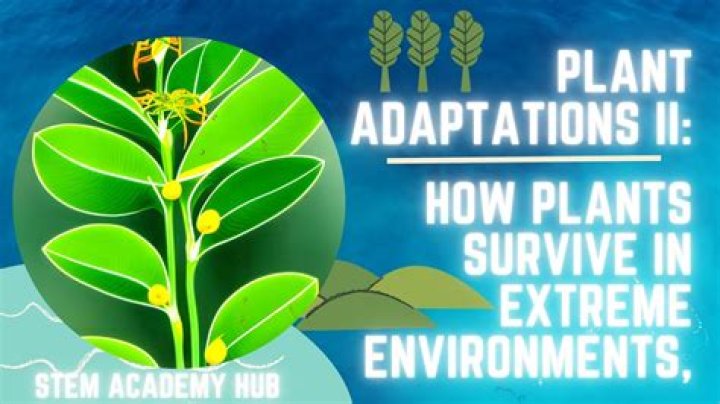 How are plants adapted to survive in extreme environments?