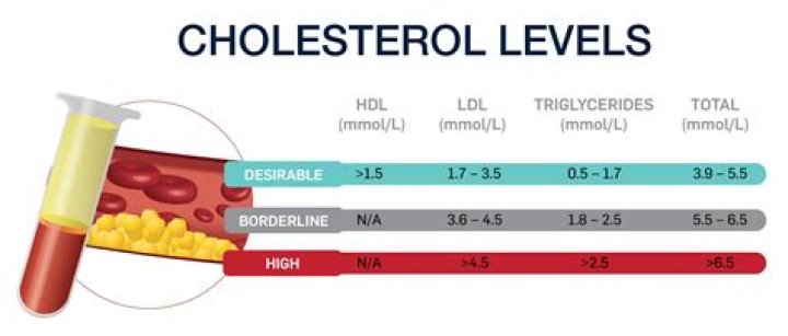 How can I lower my serum cholesterol
