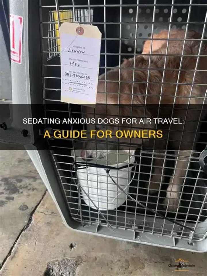 How can I sedate my dog for air travel?