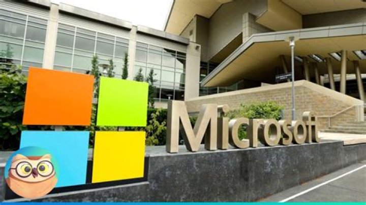 How did Microsoft started?