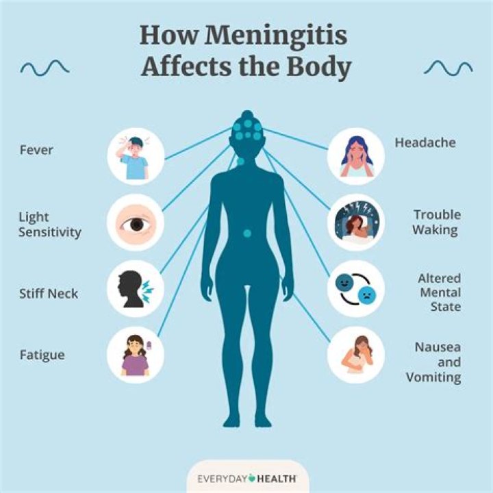 How do adults get meningitis