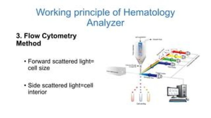 How do Analysers work