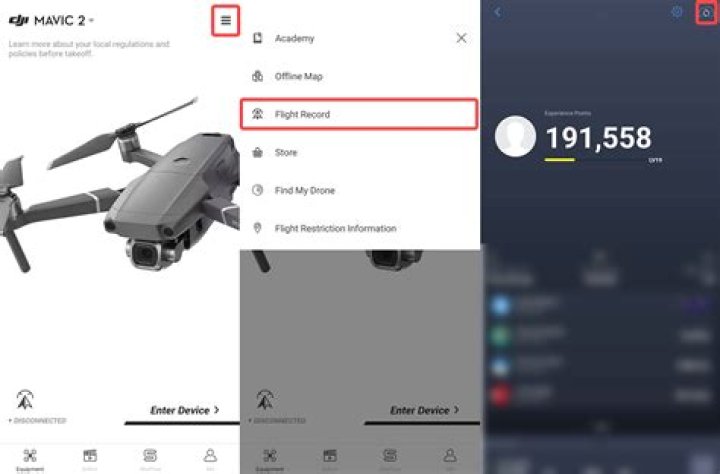 How do I access my DJI flight records?