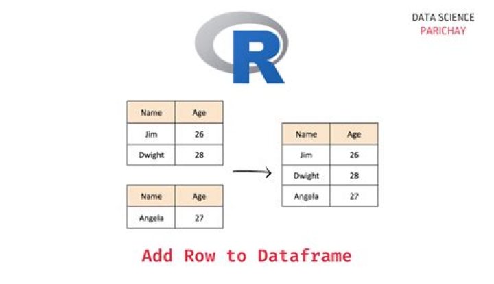 How do I add data to a Dataframe in R