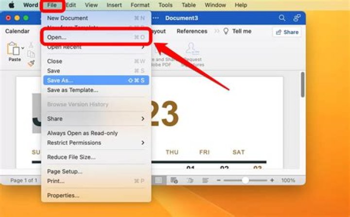 How do I download a file from Python