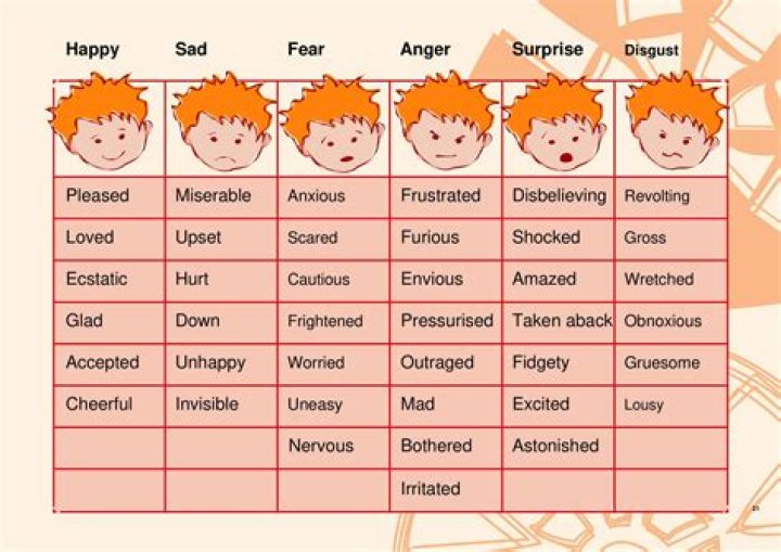 How do I find out my Nbcot score