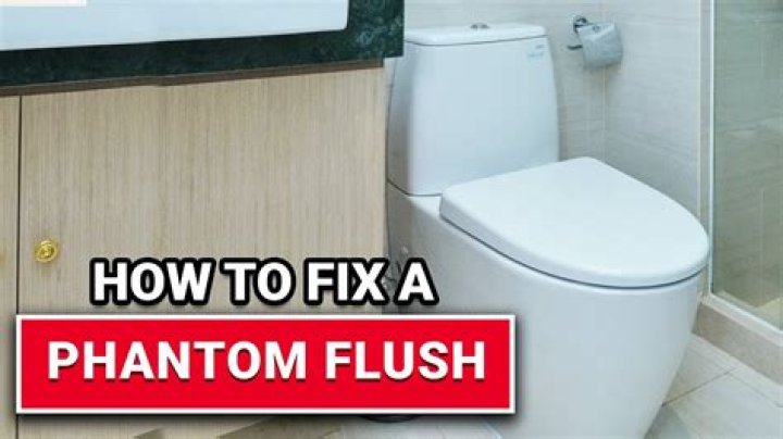 How do I fix a phantom flush