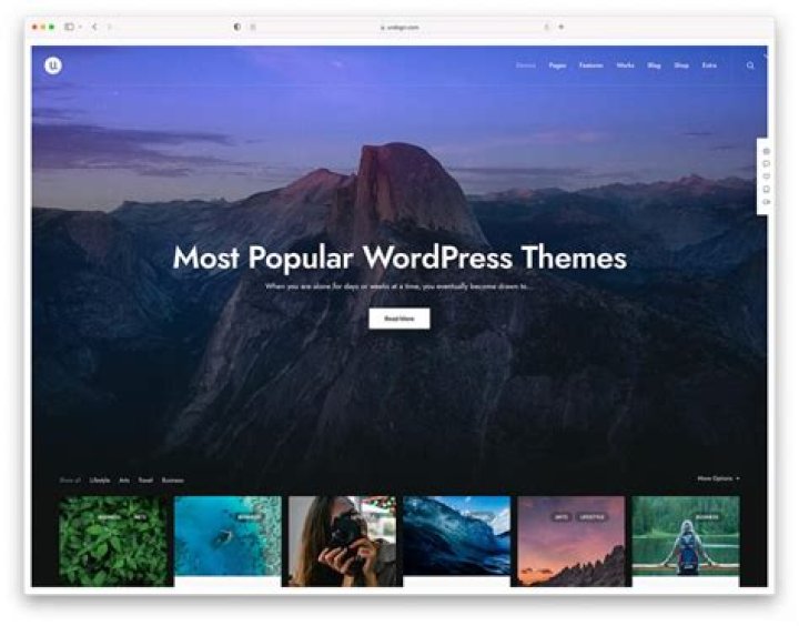 How do I get the menu theme in WordPress