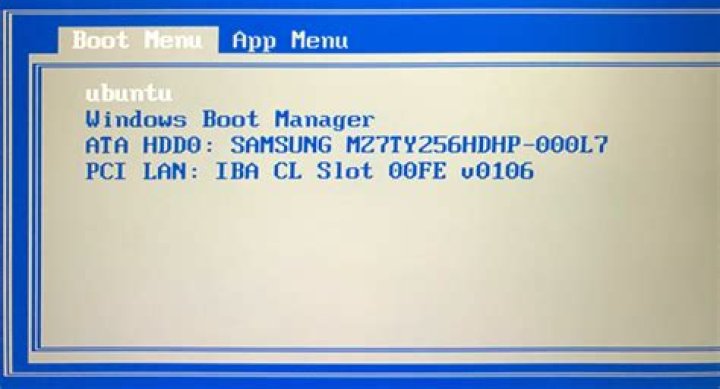 How do I get to the Windows boot menu?