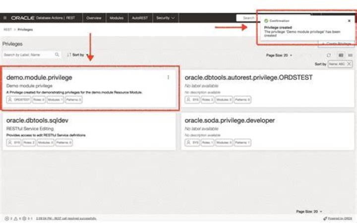 How do I grant a user privilege in Oracle?