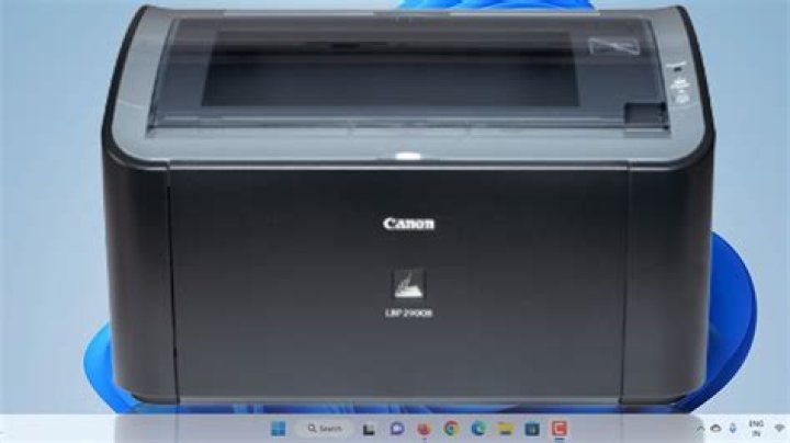 How do I install Canon LBP 2900 printer on network?