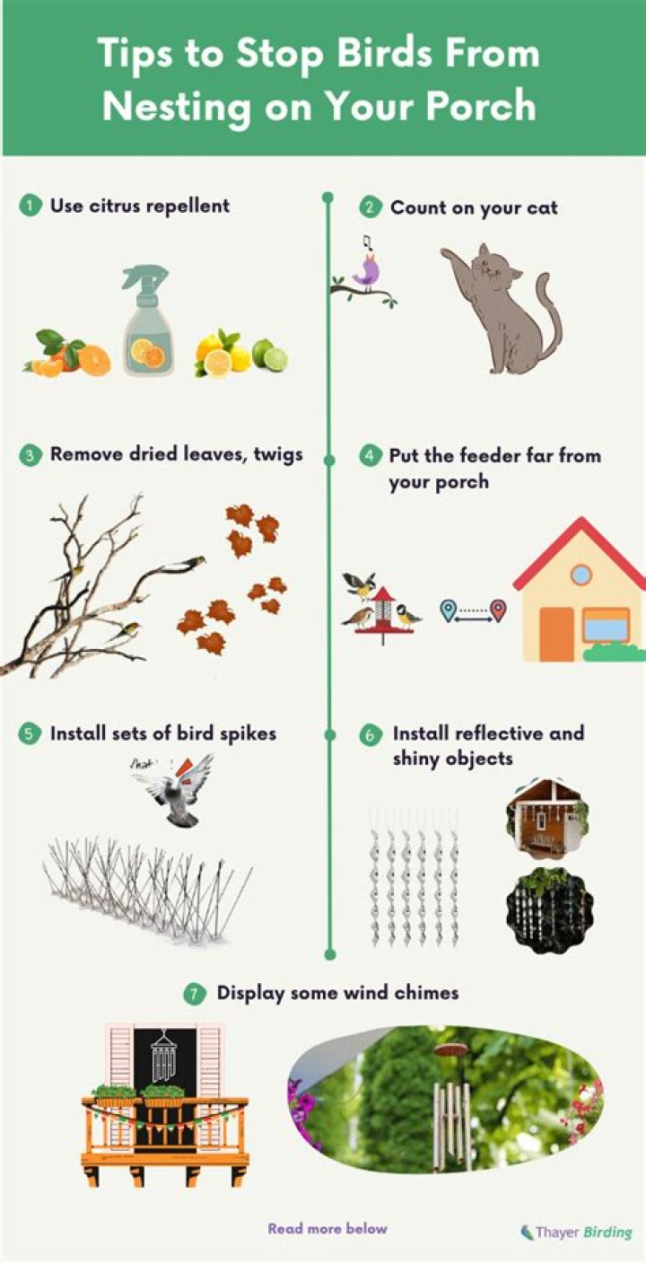 How do I keep birds from nesting on my porch?