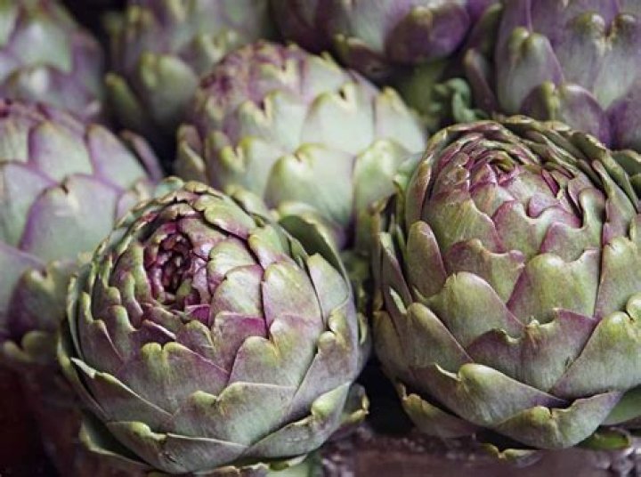 How do I keep bugs off my artichoke