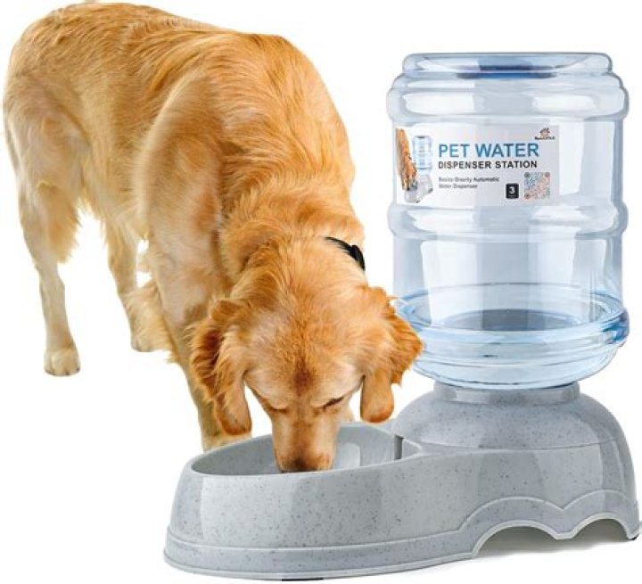 How do I keep my dog from spilling water in the crate?