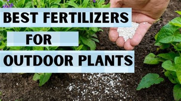How do I know what fertilizer to use on my lawn?