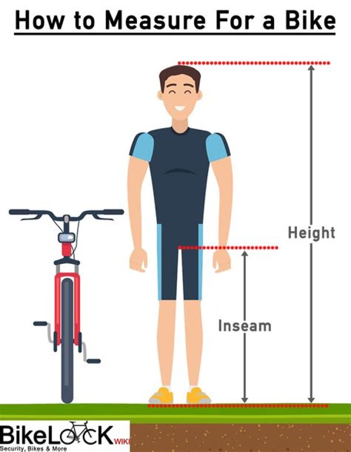How do I measure my leg size?