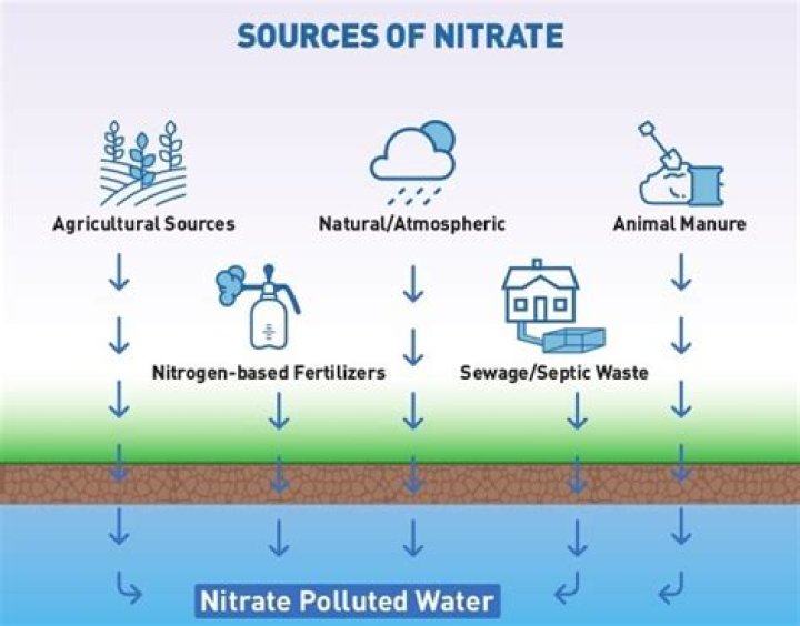 How do I reduce nitrates in my pond