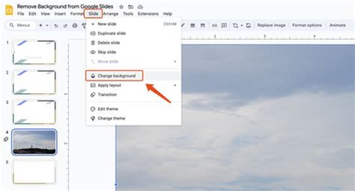 How do I remove the background from a picture in Picasa?
