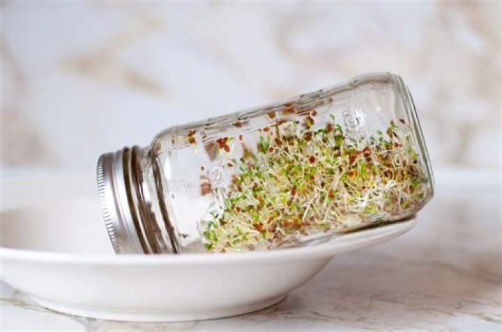 How do I sprout seeds in a Mason jar?