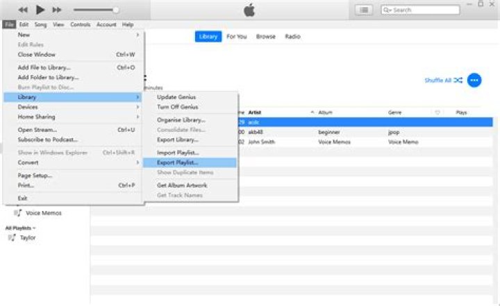 How do I transfer a playlist from iTunes to my iPad MINI?