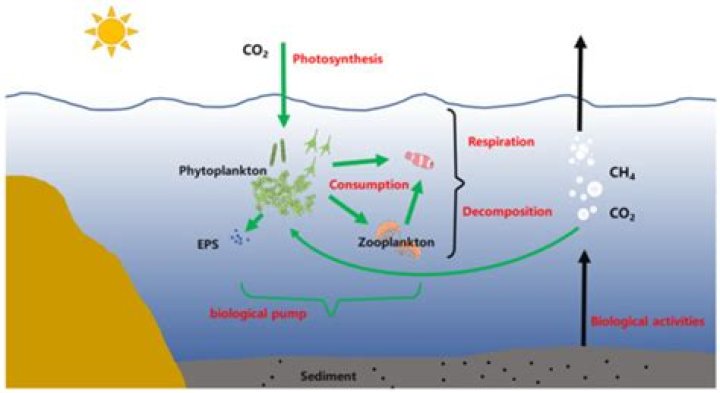How do I use Doxygen with Visual Studio
