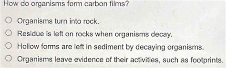 How do organisms form carbon films?