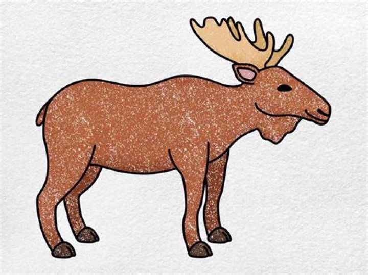 How do u draw a moose?