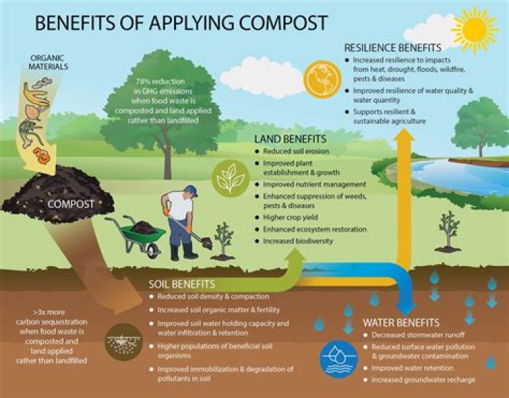 How do you add compost to established plants?