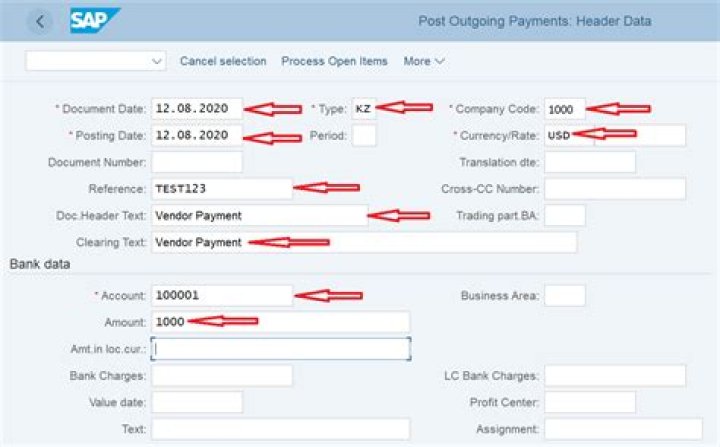 How do you cancel an outgoing payment in SAP b1