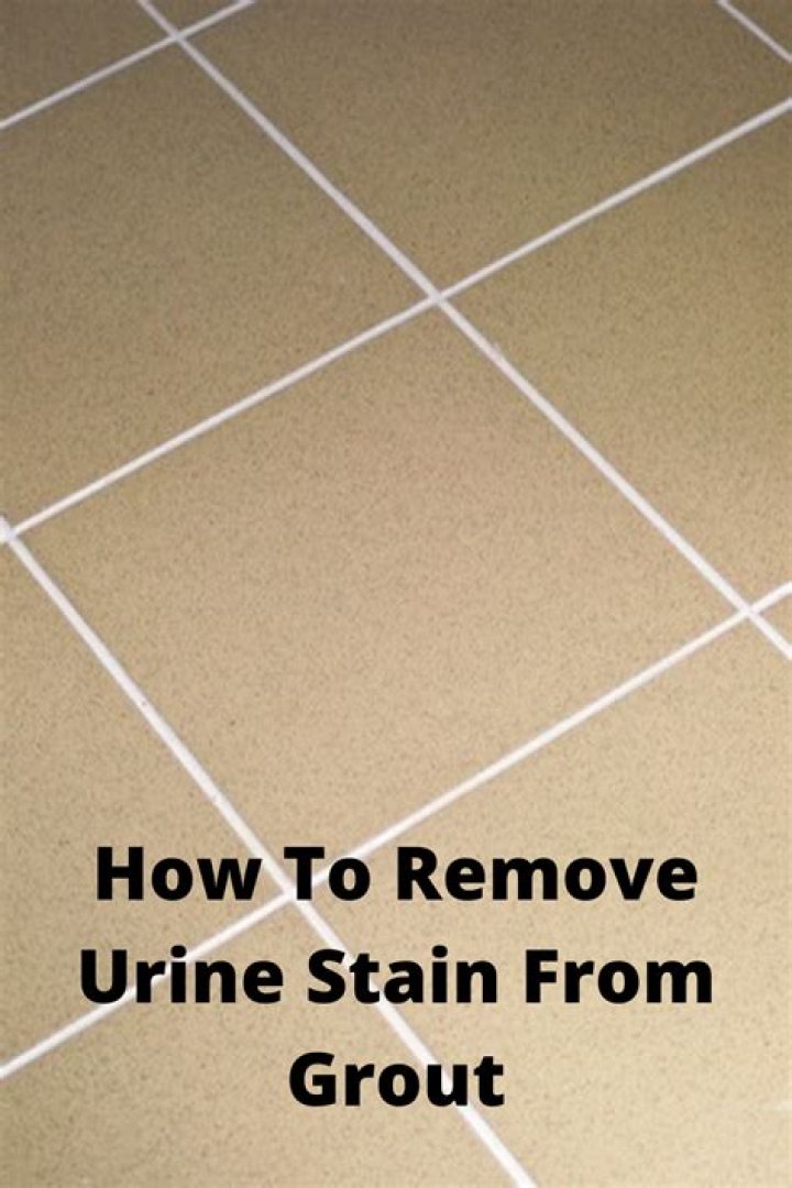 How do you clean urine out of grout