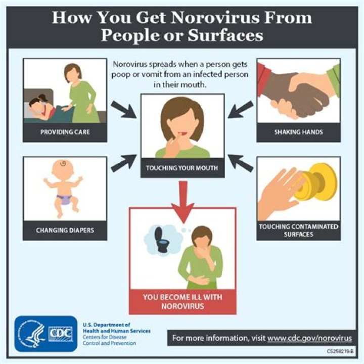 How do you disinfect Norovirus