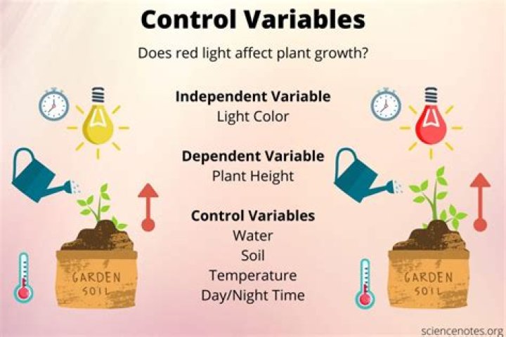 How do you find the control variable?