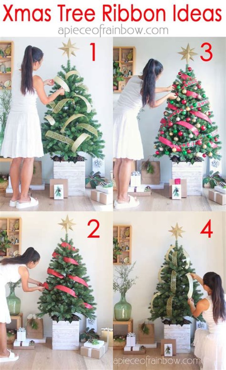 How do you get a Christmas tree to drink water?