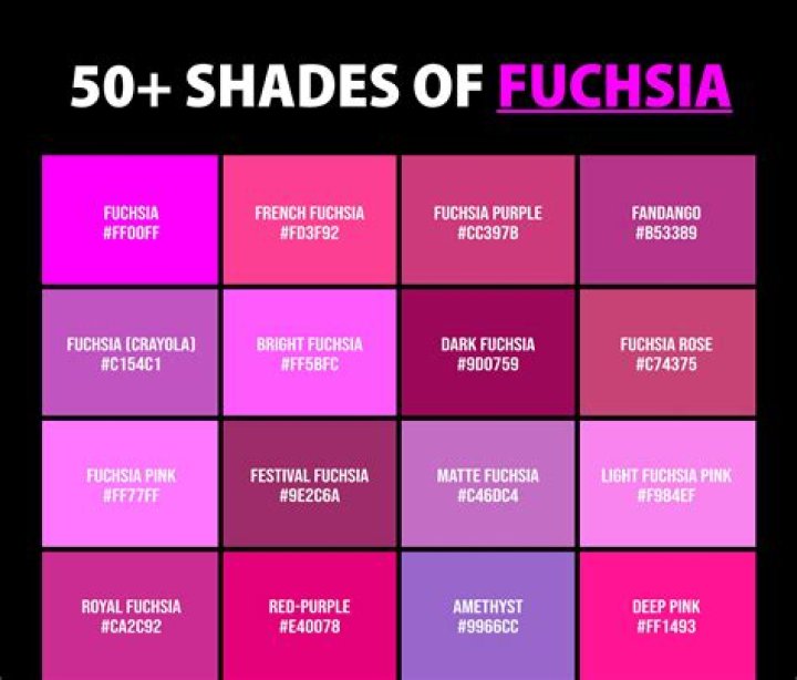 How do you get into fuchsia gym?