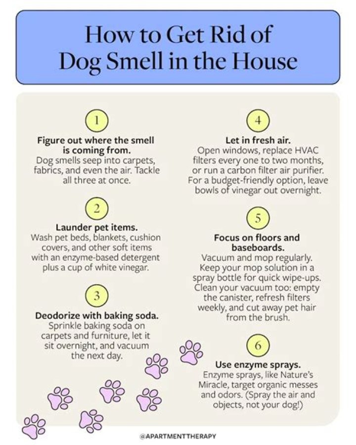 How do you get the dog smell out of an old owner