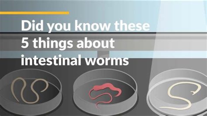 How do you get worms?