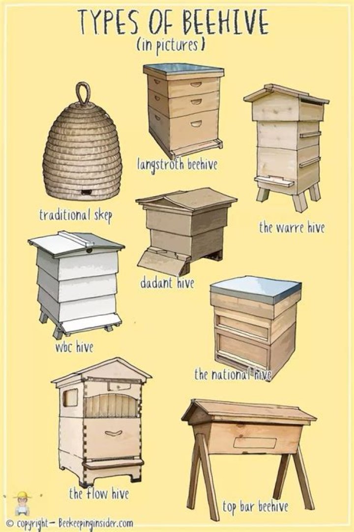 How do you keep a beehive cool in the summer