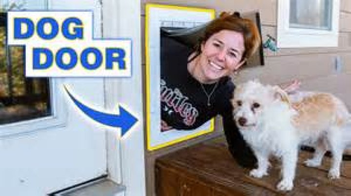 How do you keep a dog door from freezing