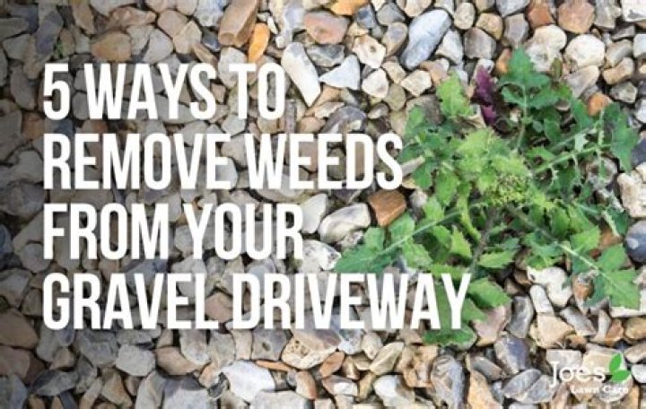 How do you keep weeds from growing in concrete