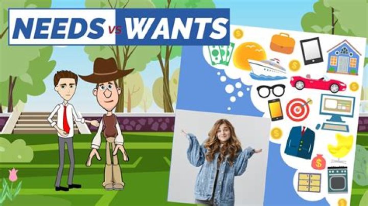 How do you know if its wants or needs?