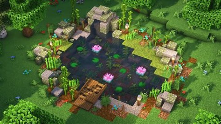 How do you make a lotus pond garden?