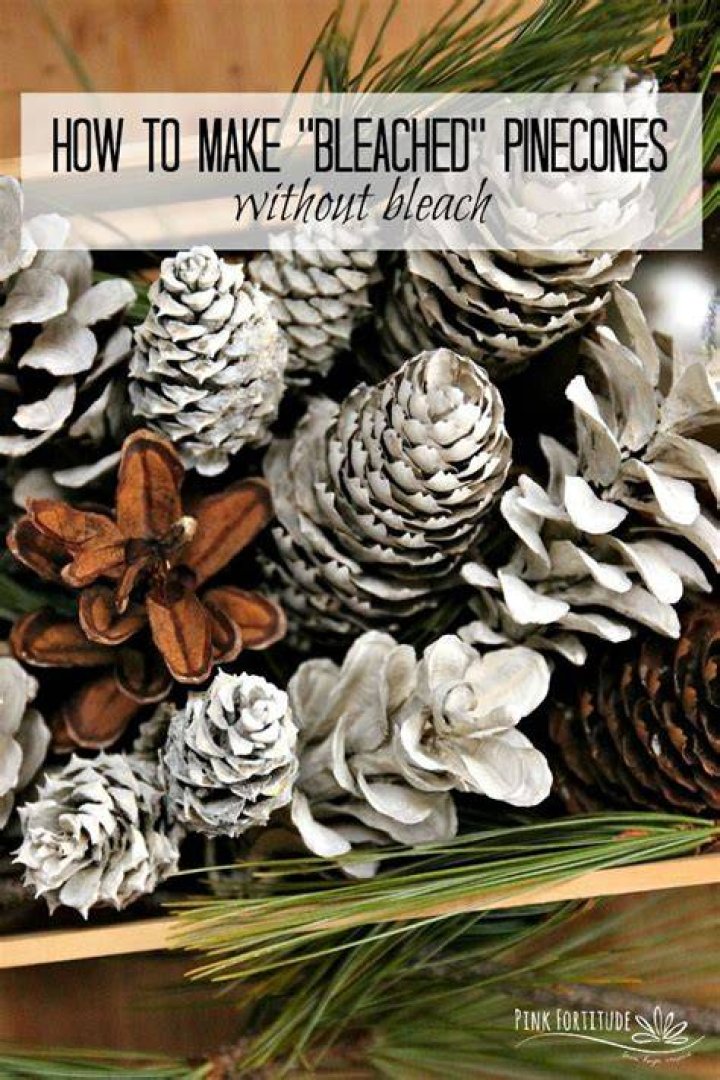 How do you make bleached pine cones?