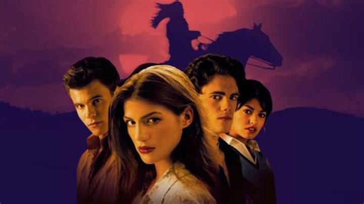 How do you pitch a movie on Netflix?