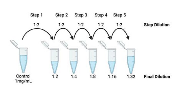 How do you prepare a dilution?